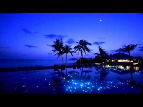 [PH] Veeshy - Palm Paradise (Blackluster Remix) [HD]