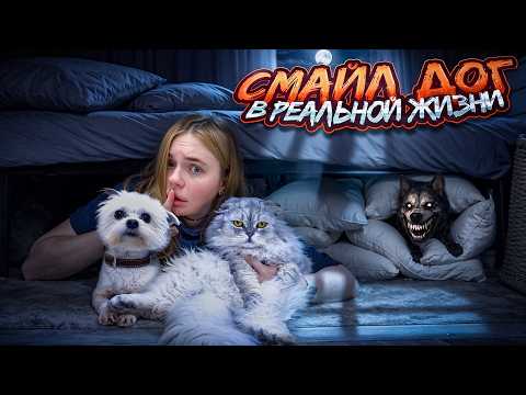 СМАЙЛ ДОГ В РЕАЛЬНОЙ ЖИЗНИ | 24 ЧАСА ПОД КРОВАТЬЮ С КОТАМИ И СОБАКОЙ