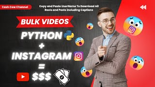 Download Instagram bulk videos using python | Instagram Automation | Instaloader screenshot 4