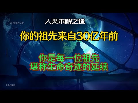 人类的祖先来自38亿年前！不是5万年！你正在延续他们创下的奇迹！你的诞生是万亿分之一概率下的创世记录