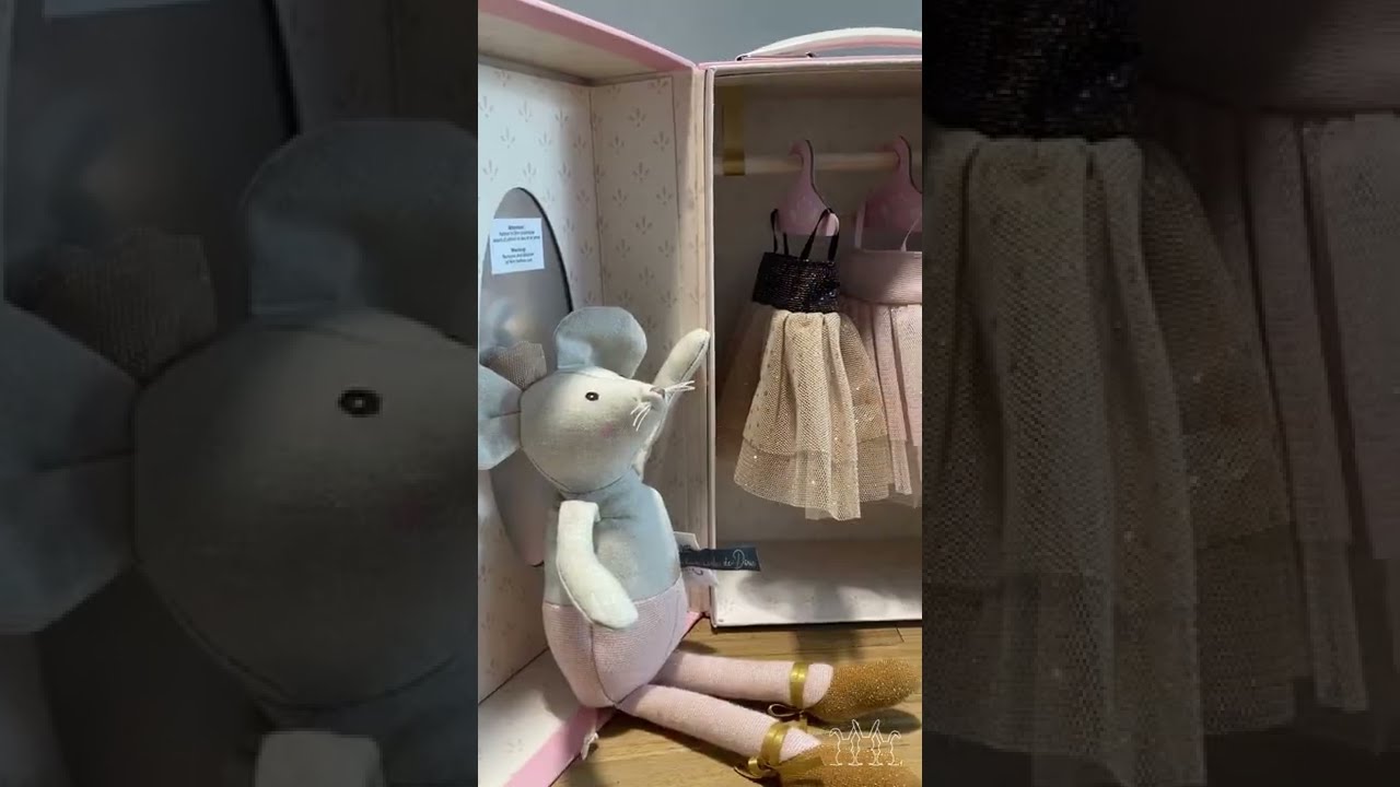 Moulin Roty - De koffer met tutu's