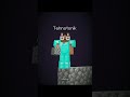 Minecraft Fake End City Ship Seed Moment