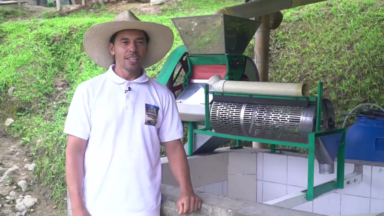 Historias que Inspiran - San Jerónimo