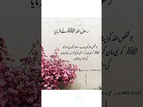 Teachings Of Muhammad SWA Allah Muhammadﷺ Islamicvideo Islamicfigure Shorts Islamicshorts 