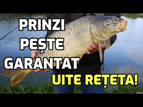 Video: Cum Să Prinzi Crap și Caras