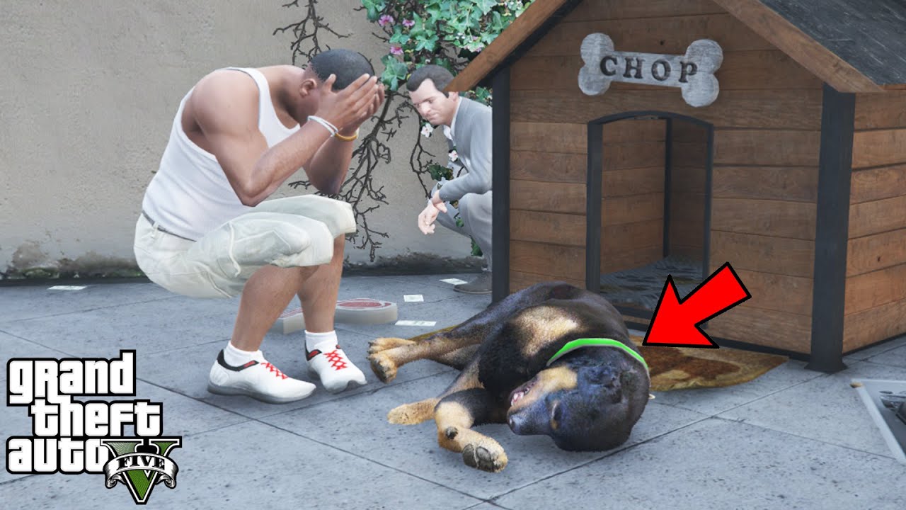Gta 5 Chop Dies 
