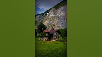 Surah Al-Ahzab | سورة الأحزاب | Verse 35 #surahalahzab #egzonibrahimi #quran #قرآن