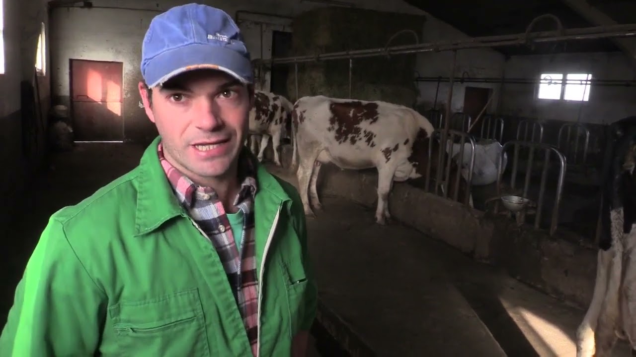 Ganaderos en su hábitat | Frisonas en Esles | 1.12.2023