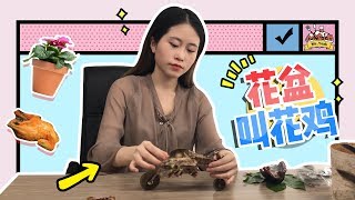 E15 Did you know you can bake a chicken in a flowerpot at office? | Ms Yeah