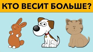 5 ГОЛОВОЛОМОК ДЛЯ 5 КЛАССА, КОТОРЫЕ НЕ РЕШИТЬ ВЗРОСЛЫМ