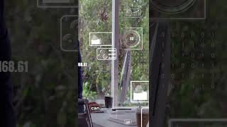 Driver Risk And Behaviour