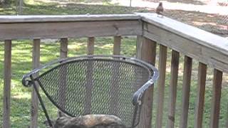 May 2010 071 2