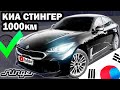 Почему НОВЫЙ КИА Стингер лучше, чем новая КИА ОПТИМА 2020?