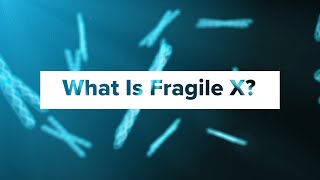 What Is Fragile X Syndrome?