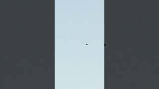 kite basant 2026 #kite #kiteflying #basant#subscribe #viral #videoviral#youtubeshorts