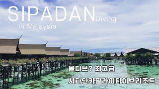 [Diving] 코로나 이후 첫 해외투어 4년 만에 다시 찾은 |시파단 | Sipadan | 최고의 시파단 카팔라이 다이브 리조트 | Kapalai Dive Resort |