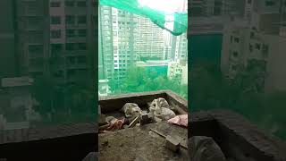 #Kaise super block ka gathan#