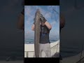 Ref:TYwcHU2tKd4 Catching a huge conger eel while fishing on a wreck 8 miles out at sea
