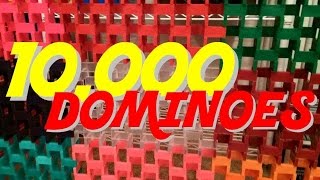 10,000 DOMINOES!!!