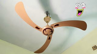 Variety & Tradition looking Ceiling Fan