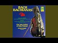 Miniature de la vidéo de la chanson Partita No. 2 In D Minor, Bwv 1004: V. Chaconne