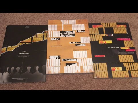 Stray Kids Clé 2 Yellow Wood Unboxing (All 3 Versions, Limited & Normal) K-Pop Haul #79 aliexpress kpop haul