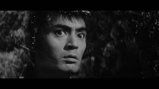 Rycon - Death Of A Ninja