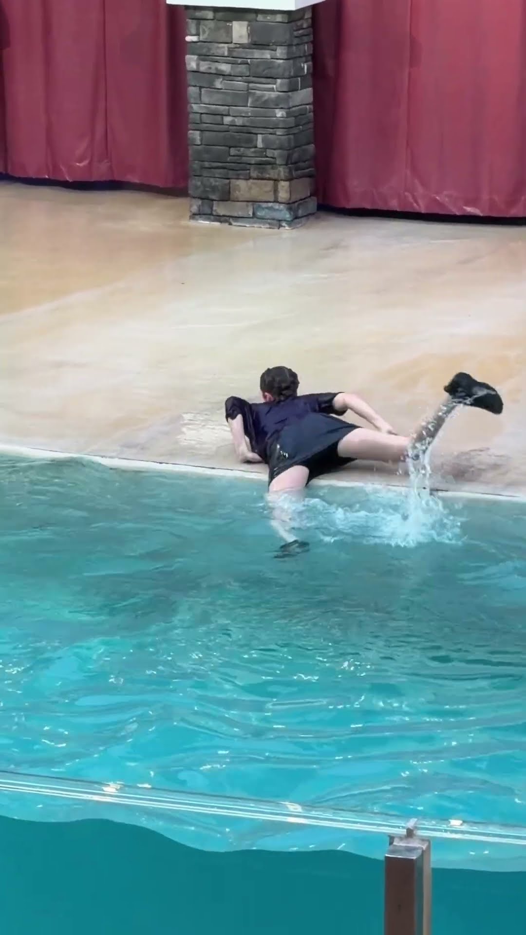 Oops 😅 😳 Sealions Tonite at Seaworld Orlando #seaworld #seaworldorlando #funnyvideos