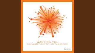 Wanting You (Classic House Mix Radio Edit)