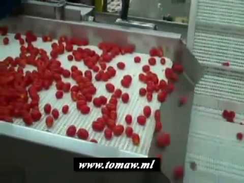 Video: Kodėl Pomidorai Raudoni