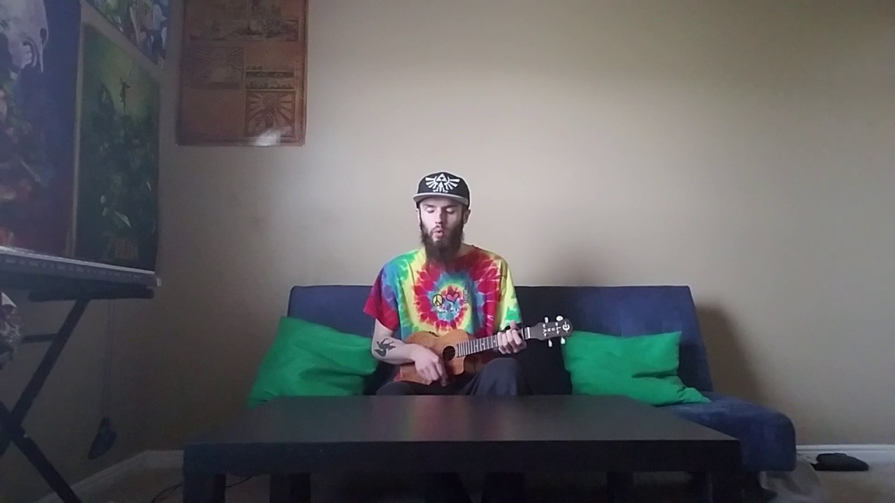 Through The Valley Shawn James (Last of Us 2 Uke Cover) YouTube