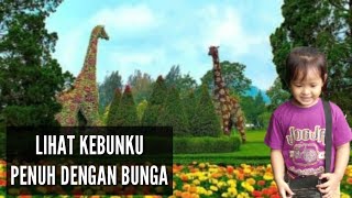 lihat kebunku penuh dengan bunga || video clip music zahsy official