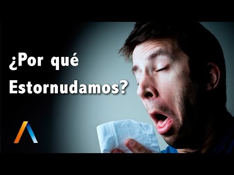 Vídeo: ¿Por Qué Estornudamos? Todo Lo Que Necesitas Saber
