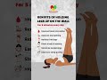 5 Minutes a Day #healthtips #legupthewall_position #health #shorts
