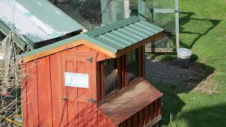 chicken coop free to good home 1