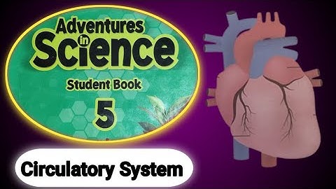 Circulatory System Complete | Overview on Body System @garrisonwithHaiqa
