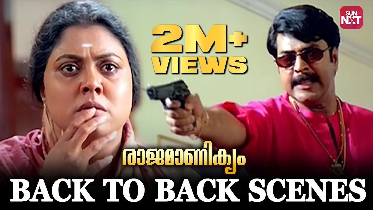 Back To Back Action Scene | Rajamanikyam | Mammooty | Rahman | Cochin Haneefa | Sun NXT Malayalam