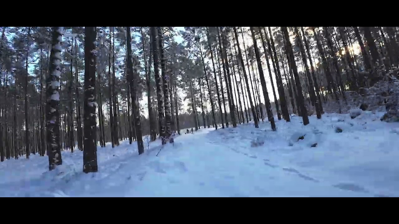 Winter Forest FPV Drone