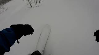 ARAI monoski 20200211-2