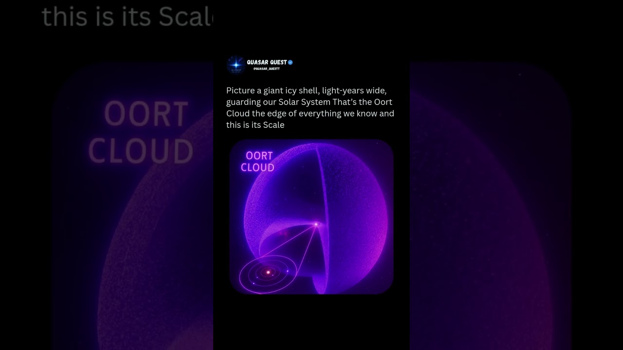 The Oort cloud  