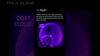 The Oort Cloud