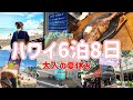 【6泊8日】3年半振りのハワイは最高すぎた!
