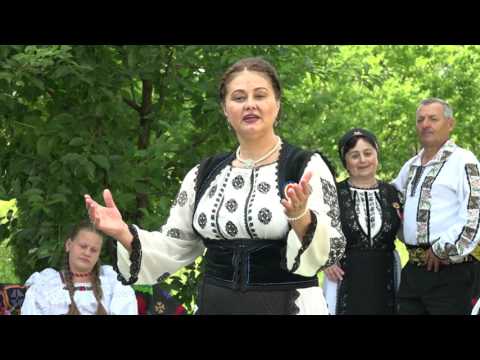 Jos la Valea Jiului