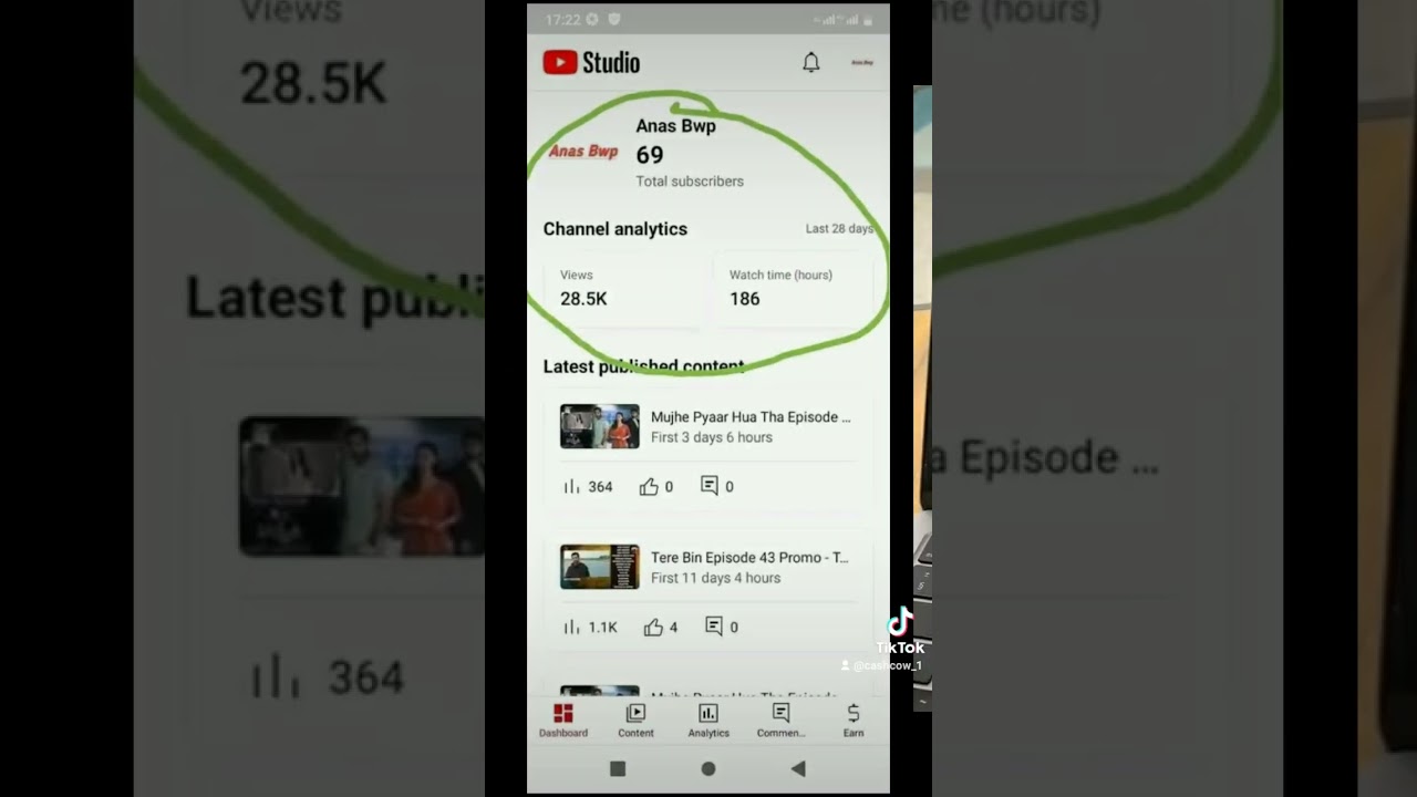 Am a professional youtube cash cow automation and video editor I really need work right now