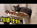 崩壊寸前。キャットタワーを1年間使い切ったら最後こうなった。【ロシアンブルー】