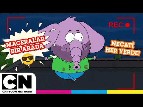 Maceralar Bir Arada | YOUTUBER NECATİ | @cartoonnetworkturkiye