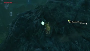 [DAY 355] of finding one korok seed everyday until Botw2 comes out