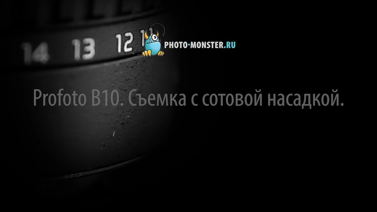 Profoto B10. Съемка с сотовой насадкой