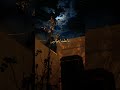 النقشبندي نوادر النقشبندي إبتهالات دينية