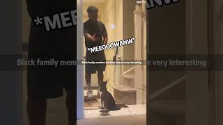 Part 76：Black Family Members And Their Cats Are Very Interesting😂